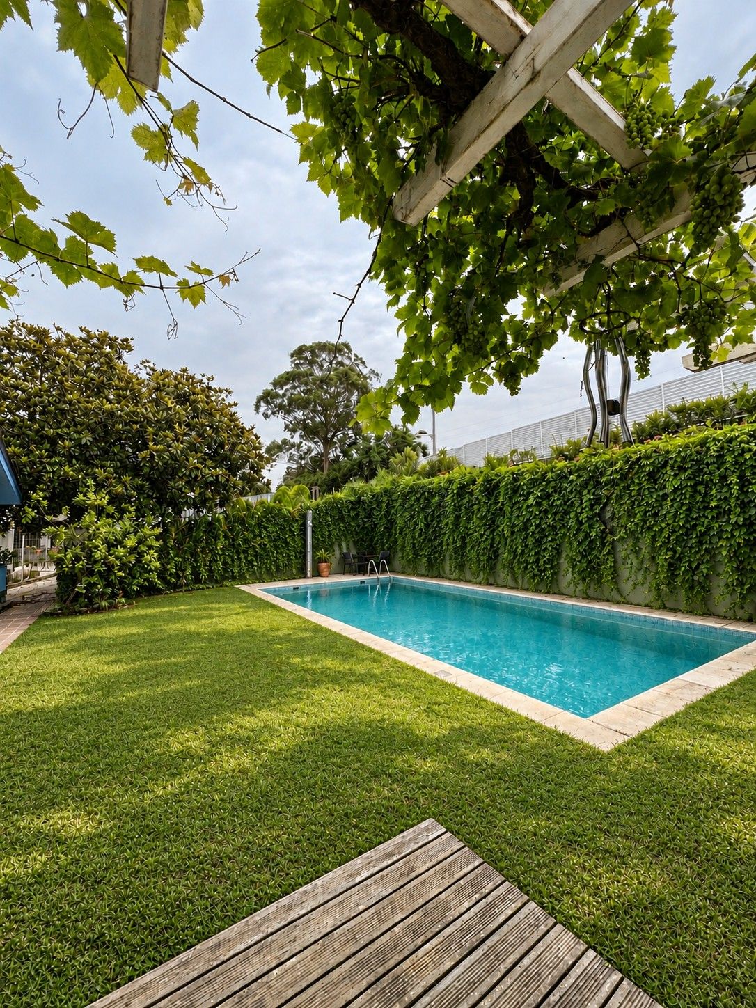 La piscina y el jardín, enmarcados bajo la pérgola de parra.