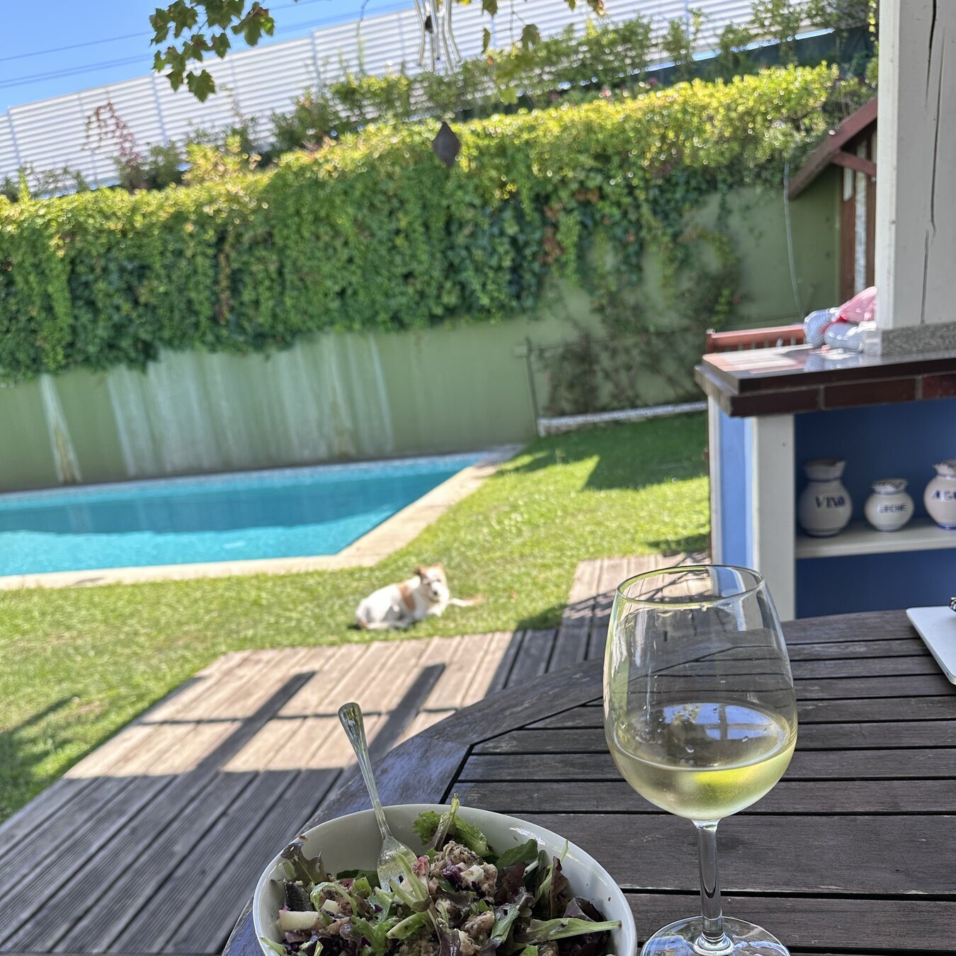 Una ensalada y una copa de vino en la mesa del jardín, con el perro descansando junto a la piscina.